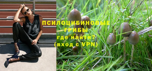 мяу мяу кристалл Новодвинск
