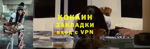 соль ск Няндома