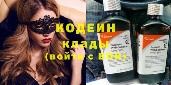 шишки Нязепетровск