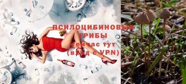 соль ск Няндома