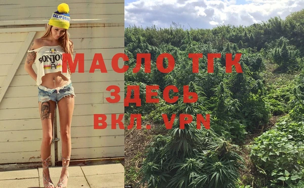 шишки Нязепетровск