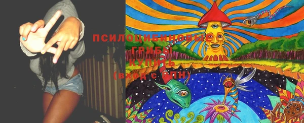 метадон Нягань