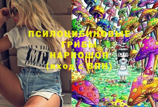 герыч Новокубанск