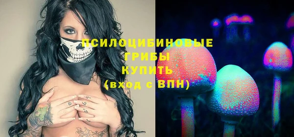 СК Новозыбков