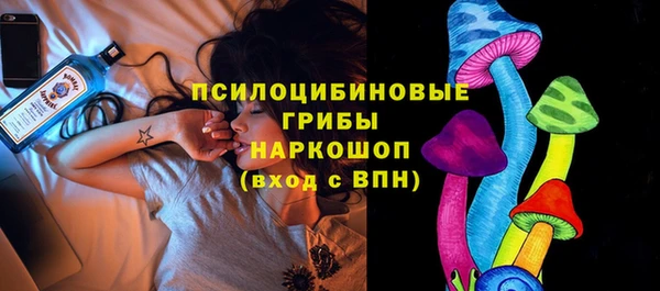соль ск Няндома