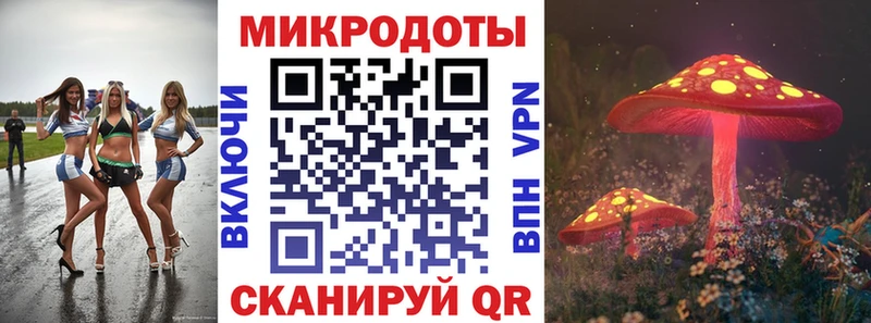 ОМГ ОМГ tor  Конаково  Галлюциногенные грибы Magic Shrooms  закладка 