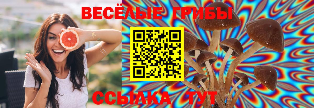 Конаково  Галлюциногенные грибы мухоморы  Вход с VPN  Псилоцибиновые грибы Cubensis 