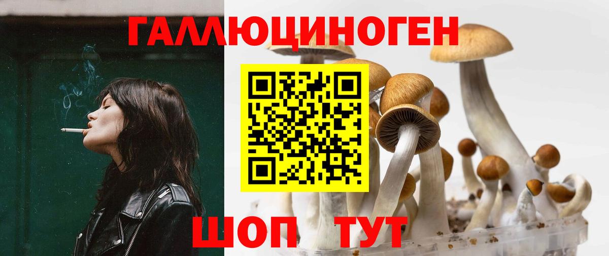 Галлюциногенные грибы Psilocybe  Конаково 